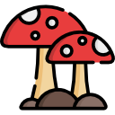 Mushrooms